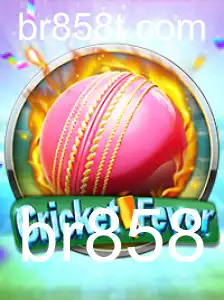Tudo Sobre CricketFever: Descrição do Jogo, Introdução e Regras Importantes
